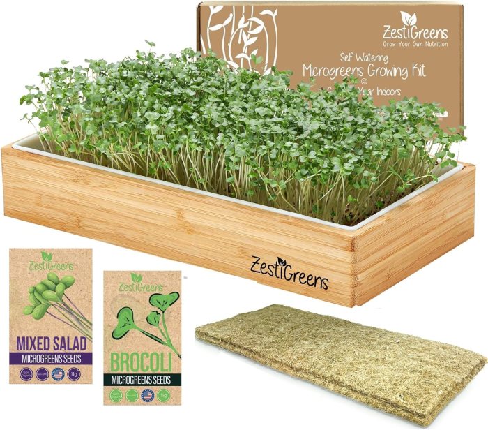 Microgreens Growing Kit Self Watering - Includes India | Ubuy