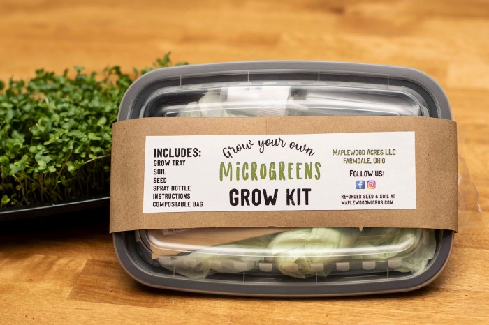 Microgreen Growing Kit - Etsy